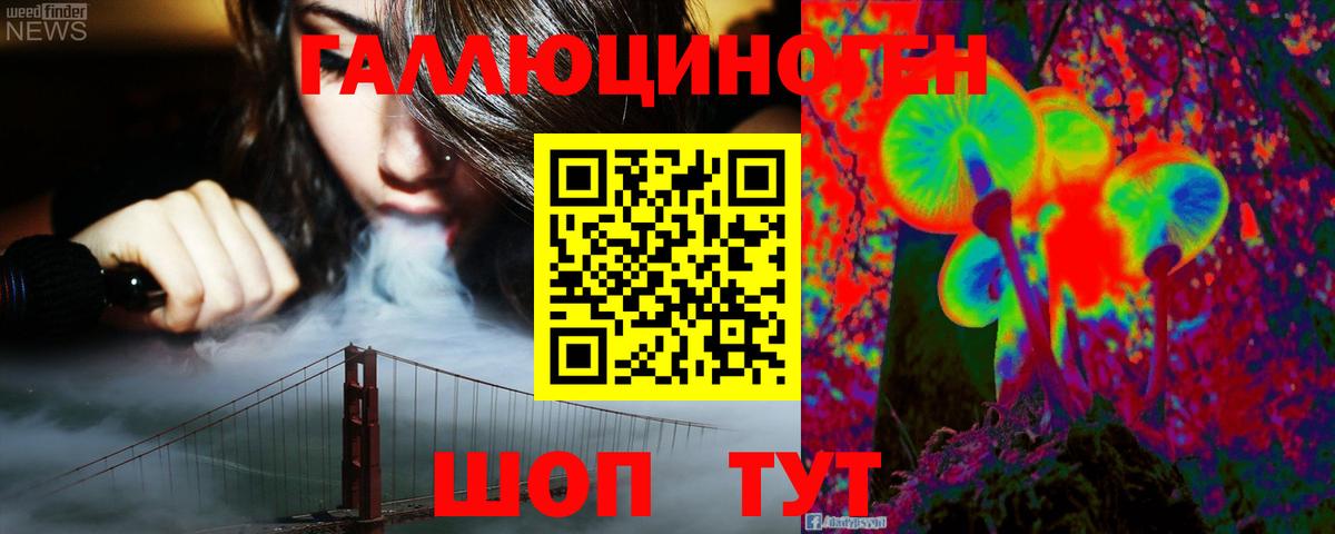 Псилоцибиновые грибы Psilocybine cubensis Сатка